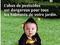 Les lauréats du concours jardiner autrement à la rencontre de l'Anjou horticole
