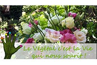 Bonne année végétale 2022