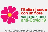 L'Italie renait avec une fleur : la primevère