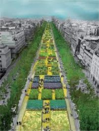 Nature Capitale : Immense succès de l'opération sur les champs... Elysées