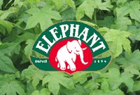 C'est l'histoire d'une pépinière de renom, d'un éléphant, et  ...