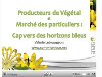 Le marché des particuliers et les végétaux