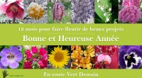 12 mois pour faire fleurir de beaux projets