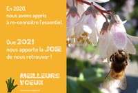 Meilleurs Voeux 2021