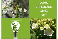 Bonne Année 2017